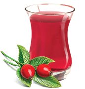 Kuşburnu